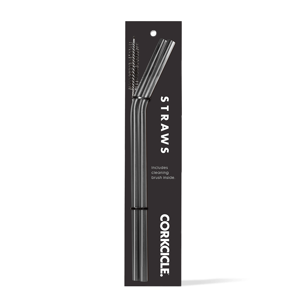 tumbler-straw-2-pack-j4 gunmetal.png